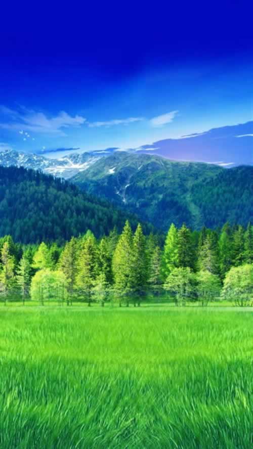 网站提款被退回 应对方案(图)