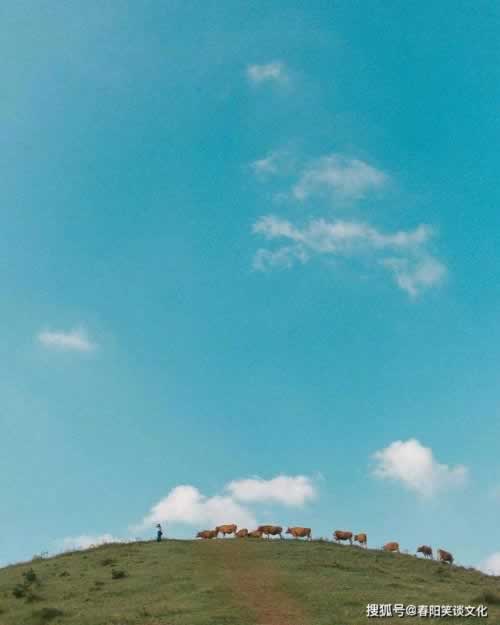 一直在提现处理中怎么办怎么挽回(图)