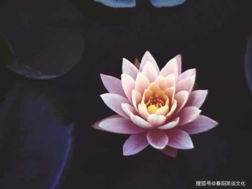 碰到黑网视讯数据未传回 处理方式(图)