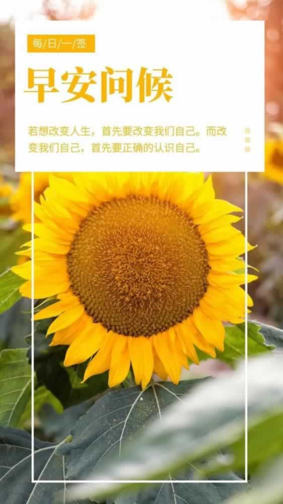 黑平台审核维护不通过提款提不了该怎么弄(图)