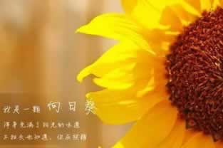揭秘被黑不能提款 化解方法(图)