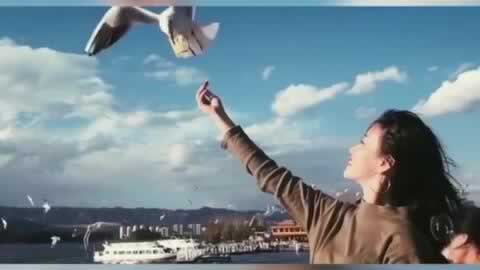 碰到被黑出款端口维护 解决方案(图)
