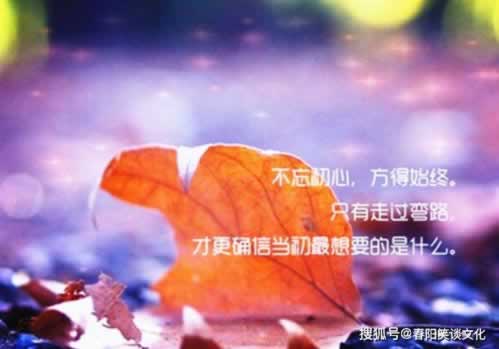 数据部分丢失未更新回传提现不了取款失败被退回 处理对策(图)