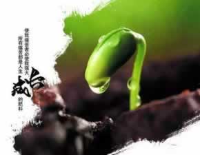 黑平台不给出金怎么办怎么做(图)