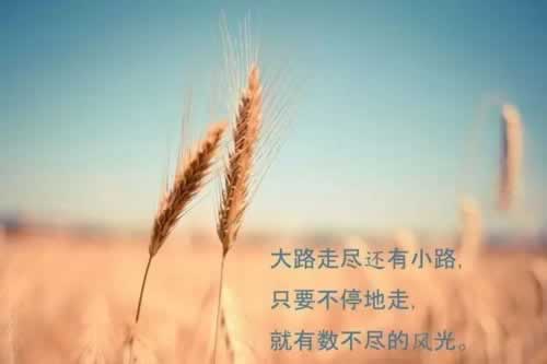 网上365被黑不给出款有什么解决办法(图)