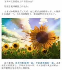 风控部门稽核注单异常的破解方案(图)