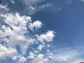 提示出款通道维护升级 补救对策(图)