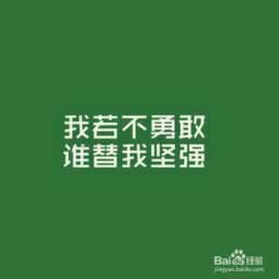 网上平台营前 操作方案(图)