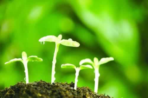 提款风控部门审核不能提款怎么问题(图)